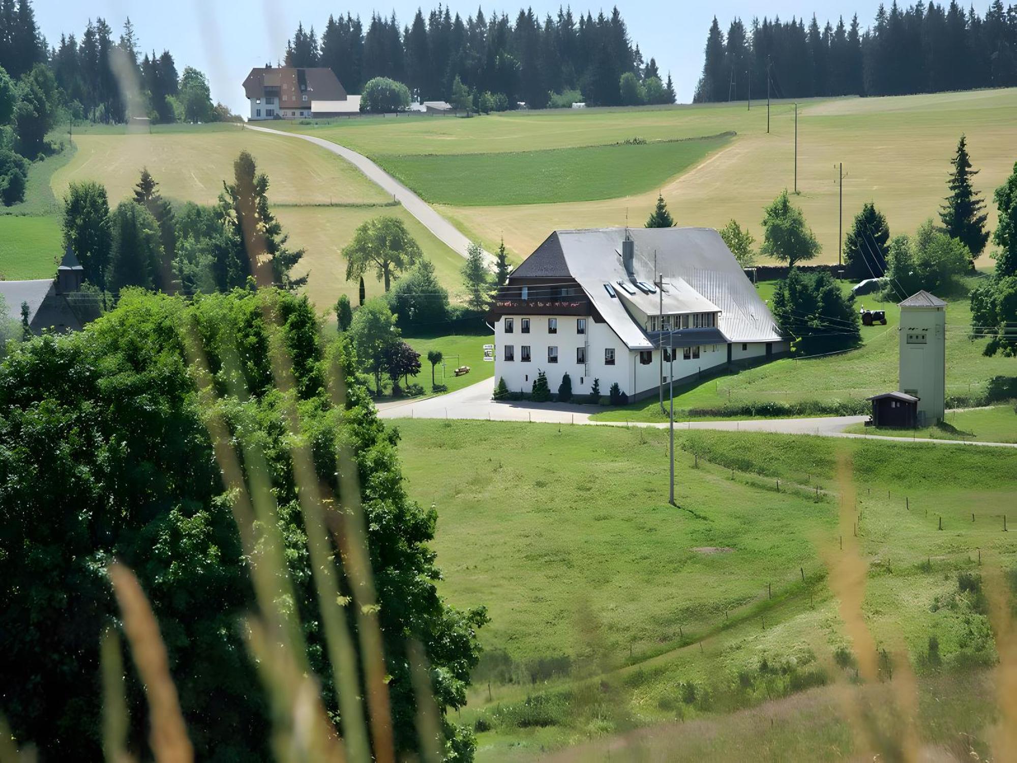 Gasthaus-Pension Zum Loewen Grafenhausen Exteriér fotografie