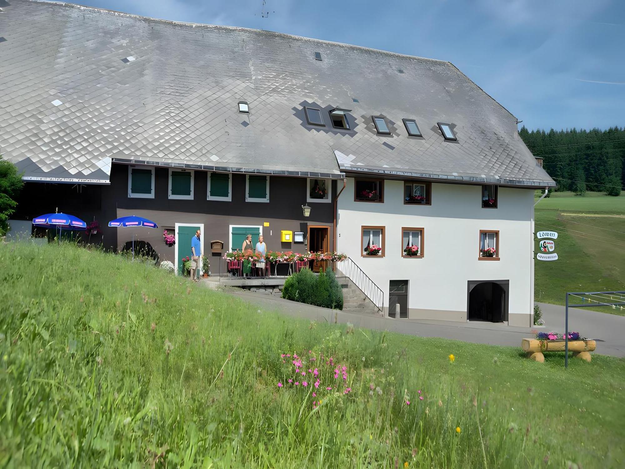 Gasthaus-Pension Zum Loewen Grafenhausen Exteriér fotografie