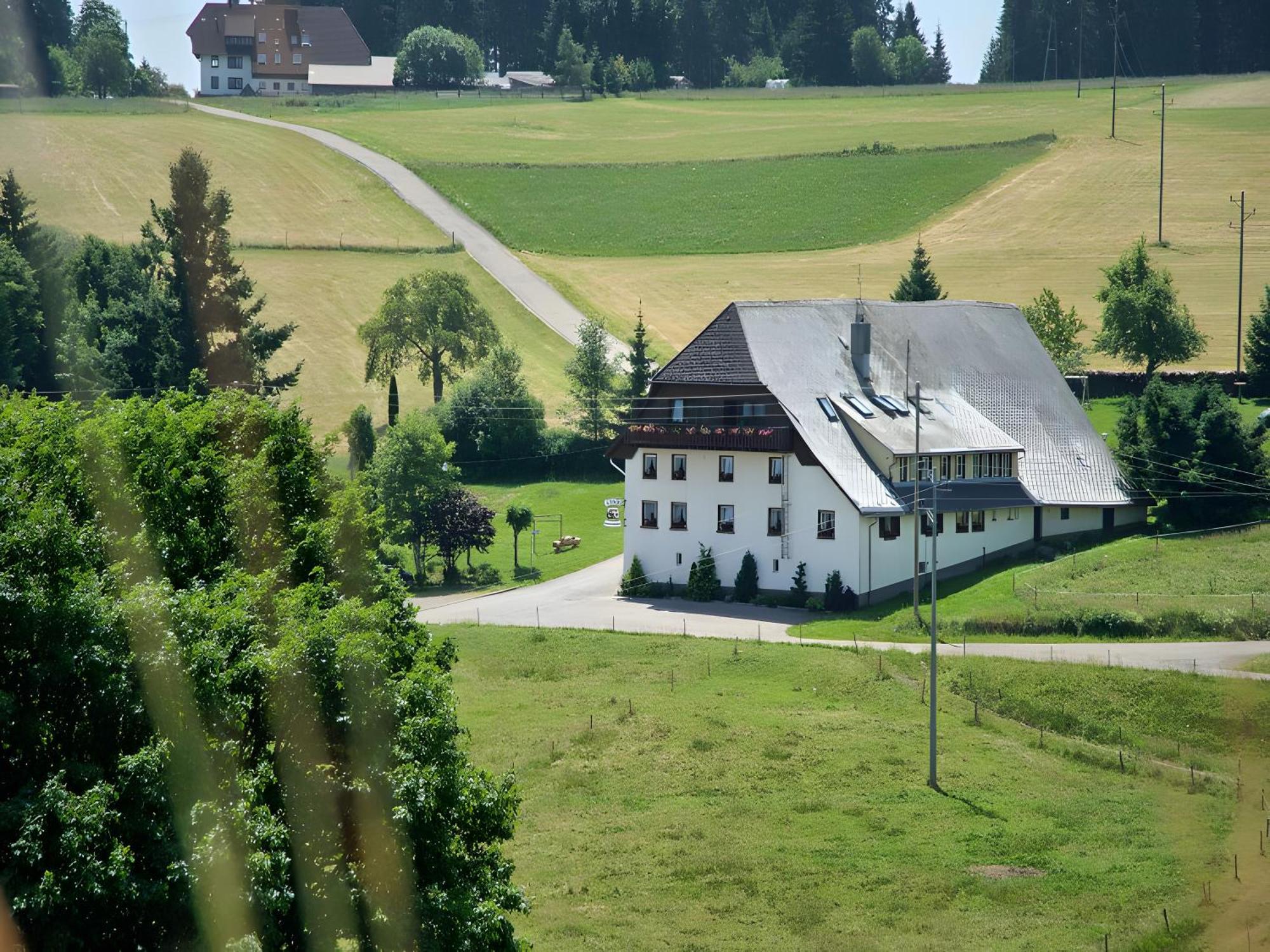 Gasthaus-Pension Zum Loewen Grafenhausen Exteriér fotografie